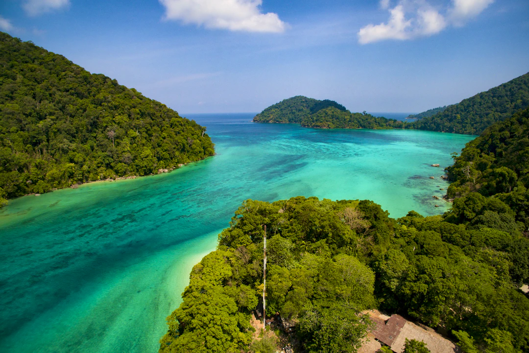 Surin Island Snorkeling Experience Price